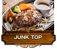 JUNK TOP