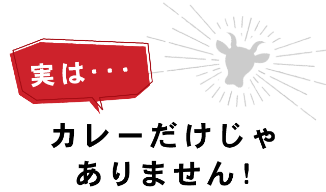 実は･･･ カレーだけじゃありません!